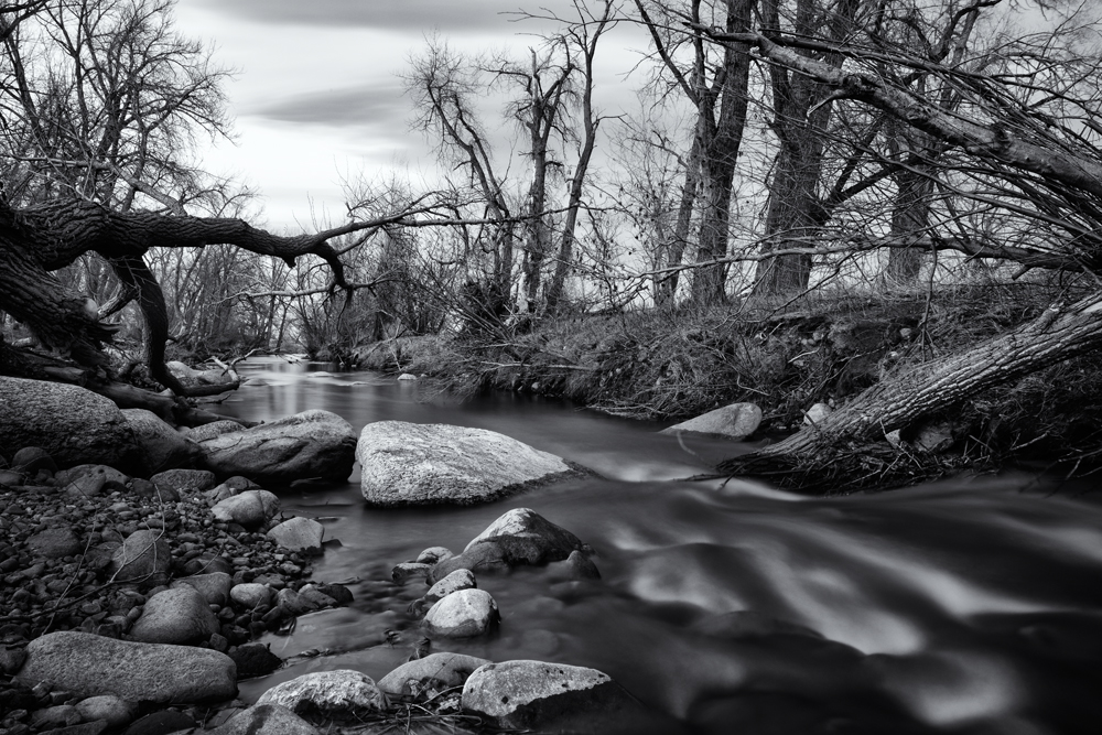 South Boulder Creek Photo Walk (Bobolink Trail) The Photography Blog
