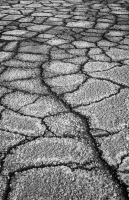 Parking Lot #38 (The Path to Two Fish), Colorado, 2012