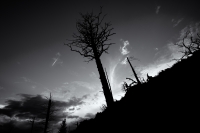 Contrail Above the Fire, Colorado, 2013