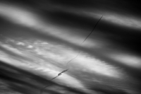 Stratus Contrail, Colorado, 2015