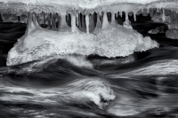 Ice, #280 (Floating Cavern and Moray Eel), Colorado, 2016