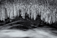 Ice, #297 (Crystal Curtains), Colorado, 2016