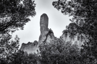 Montserrat February Morning,  #13, Catalunya, 2025