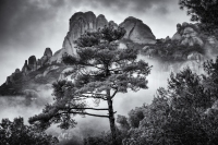 Montserrat February Morning,  #14, Catalunya, 2025