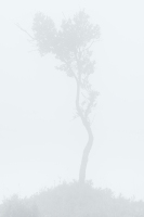Clearing Spring Storm, #6, Montserrat, Catalunya, 2025