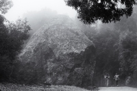 October Morning, #14, Montserrat, 2025