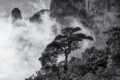 Snowfall, #28, Montserrat, Catalunya, 2026
