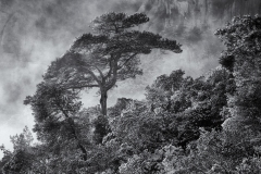Snowfall, #31, Montserrat, Catalunya, 2026