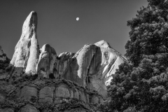 Snowfall, #51, Montserrat, Catalunya, 2026