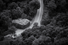 Monday Morning, #15, Montserrat, Catalunya, 2026