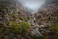 Post-Storm Runoff, #3, Arizona, 2017