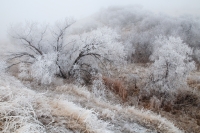 Joder Ranch in Frost, Colorado, 2011