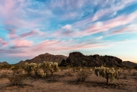 Pink Desert Sunrise, Arizona, 2016