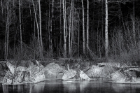 Ice Remnants, #8, Colorado, 2013