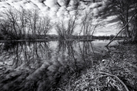 Sawhill Ponds, Late Fall, #13, Colorado, 2013