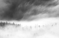 Sugarloaf Fog, #1, Colorado, 2012