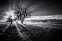 Sunrise, Sawhill Ponds, Colorado, 2014