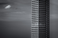 Solitary Flight (or Pervertical Sanctuary?), NYC, 2015