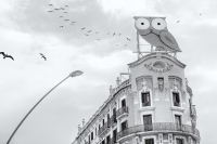 El Mussol (The Owl), Rótulos Roura, Avinguda Diagonal 372, Barcelona, 2021