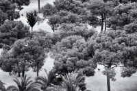 1_202504195913BW-eFrom-Above-36-Barcelona-2025