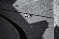 202505086322BW-eFrom-Above-190-LEsglesia-de-Santa-Maria-de-Mar-Barcelona-2025