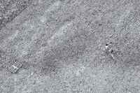 202509096612BW-eFrom-Above-287-La-Noria-de-la-Barceloneta-Barcelona-2025