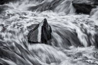 Striped Stone in Spring Waters, Colorado, 2015