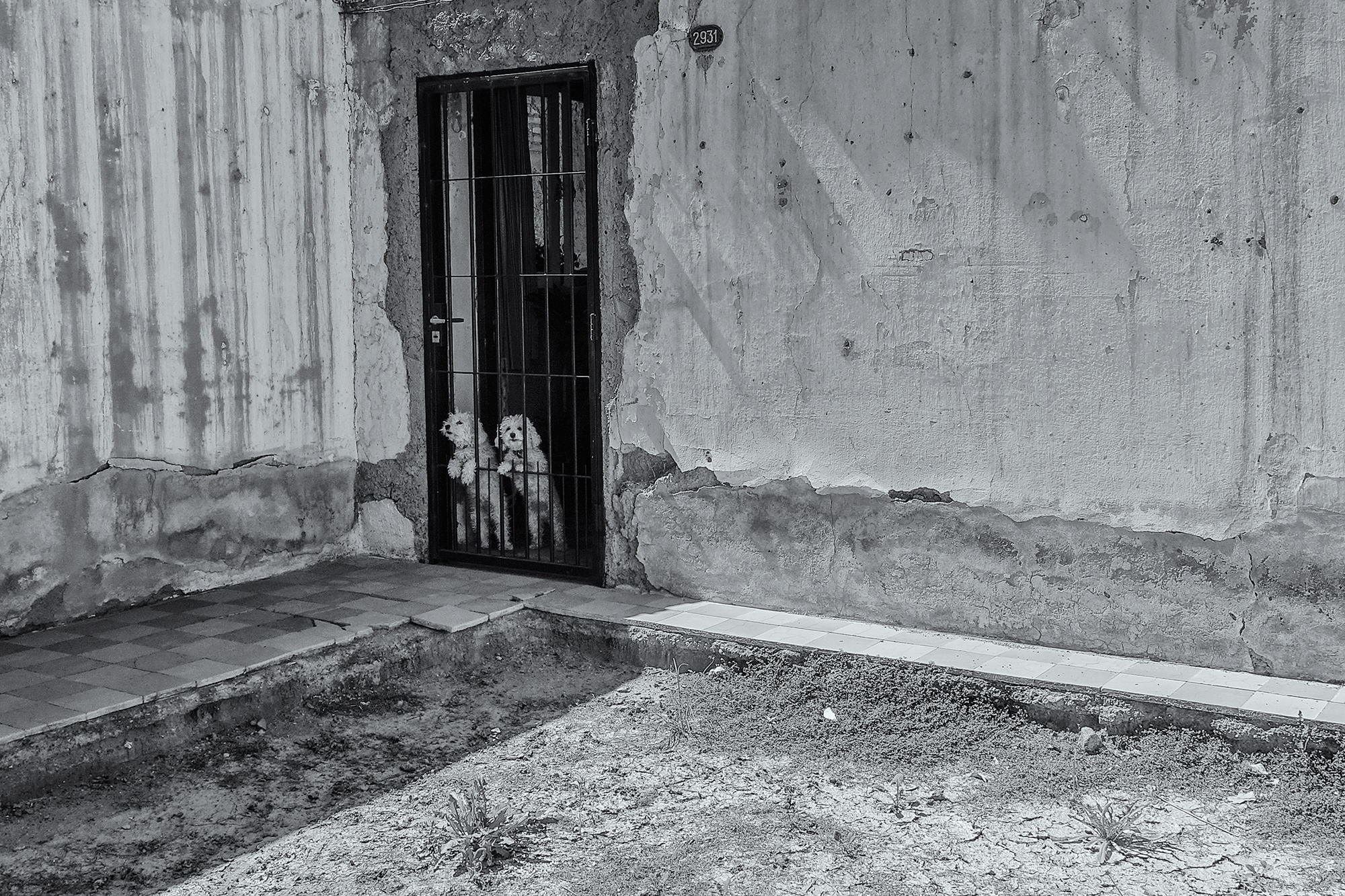 Twins and Prisoners. Mendoza, Argentina, 2016 – The Photography Blog of ...